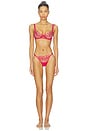 view 4 of 4 ARMATURE AMAROSA in Virtual Pink & Sheer