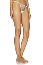 view 2 of 4 Marisa Brief in White & Sheer