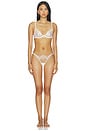 view 4 of 4 Marisa Brief in White & Sheer