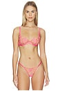 view 1 of 4 ARMATURE LILLY in Pink Lemonade, Cantaloupe & Sheer