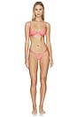 view 4 of 4 ARMATURE LILLY in Pink Lemonade, Cantaloupe & Sheer