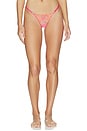 view 1 of 4 Lilly Thong in Pink Lemonade, Cantaloupe & Sheer