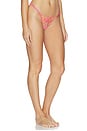 view 2 of 4 Lilly Thong in Pink Lemonade, Cantaloupe & Sheer