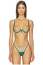 view 1 of 4 ARMATURE GIANNA in Jelly Mint, Teal, Orange Peel & Sheer