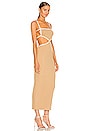 view 2 of 3 Coyote Midi Dress in Camel & Ivory