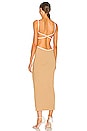 view 3 of 3 Coyote Midi Dress in Camel & Ivory