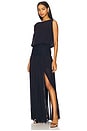 view 2 of 3 Rhone Drop Waist Dress in Ink