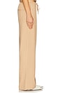 view 2 of 6 Almeria Pant in Camel Stripe