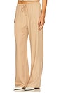 view 3 of 6 Almeria Pant in Camel Stripe