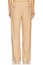 view 4 of 6 Almeria Pant in Camel Stripe