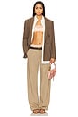 view 5 of 6 Jai Contrast Pant in Taupe & Peach