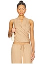 view 1 of 4 Almeria Wrap Top in Camel Stripe