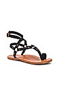 view 2 of 5 Lark Sandal in Black &Tan in Black & Tan