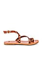 view 1 of 5 Lorikeet Sandal in Tan