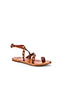 view 2 of 5 Lorikeet Sandal in Tan