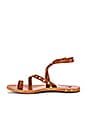 view 5 of 5 Lorikeet Sandal in Tan