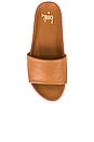 view 4 of 5 Gallito Slide in Honey