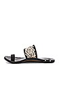 view 5 of 5 Dove Sandal in Black & Natural