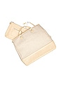 view 7 of 8 The Woven Tote in Beige