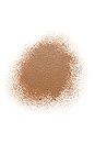 view 2 of 3 BASE POUDRE ORIGINAL LOOSE POWDER FOUNDATION SPF 15 in Golden Dark 25