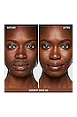 view 3 of 3 BASE EN POLVO ORIGINAL LOOSE POWDER FOUNDATION SPF 15 in Deepest Deep 30