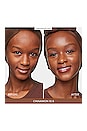 view 3 of 5 Complexion Rescue Tinted Moisturizer Mineral SPF 30 in Cinnamon 10.5