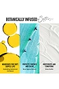 view 7 of 10 Nourishing Lip Oil in Delight