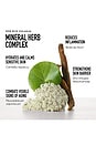view 7 of 10 Skinlongevity Long Life Herb Serum in 