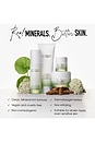 view 8 of 10 Skinlongevity Long Life Herb Serum in 