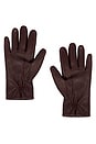 view 2 of 2 Emil Gloves in Bordeaux