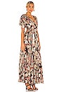 view 2 of 5 Sion Maxi Dress in Somber