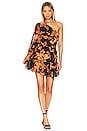 view 1 of 4 Alia Tie Up Belt Mini Dress in Black