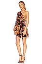 view 4 of 4 Alia Tie Up Belt Mini Dress in Black