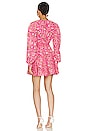 view 3 of 3 Short Dress in Tulip Pink
