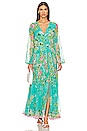 view 1 of 5 Azra Maxi Dress in Teal Floral