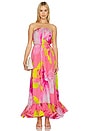 view 1 of 3 Maxi Dress in Pink Floral