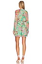view 3 of 3 COMBISHORT ROMPER in Spring Green