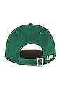 view 3 of 3 90210 Baseball Hat in Green