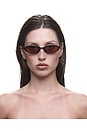 view 3 of 4 Poly Sunglasses in Cedar