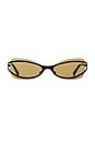 view 1 of 3 Cannon Sunglasses in Honey