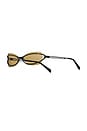 view 3 of 3 Cannon Sunglasses in Honey
