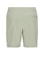 view 2 of 3 Pivotal Performance Short in Grey Sage