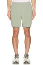 view 3 of 3 Pivotal Performance Short in Grey Sage