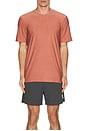 view 3 of 3 Always Beyond Crew Tee 2.0 in Smoked Rose Heather