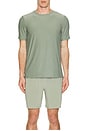 view 3 of 3 Always Beyond Crew Tee 2.0 in Grey Sage Heather
