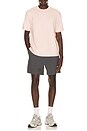 view 4 of 4 T-SHIRT in Umber Pink
