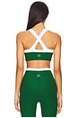 view 3 of 4 SPACEDYE TROPHY 스포츠 브라 in Summer Thyme Green