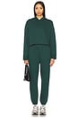 view 4 of 4 Luxe Fleece Happiness Cropped Hoodie in Dark Spruce Green