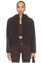 view 1 of 5 Polarflex Jacket in Dark Chocolate