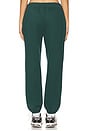 view 4 of 6 Luxe Fleece Sweatpant in Dark Spruce Green